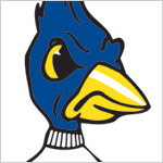Creighton Billy Bluejay BIG WallStars!