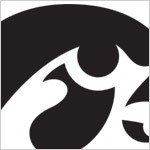 Iowa Hawekeyes Tiger Hawk Logo WallStars!